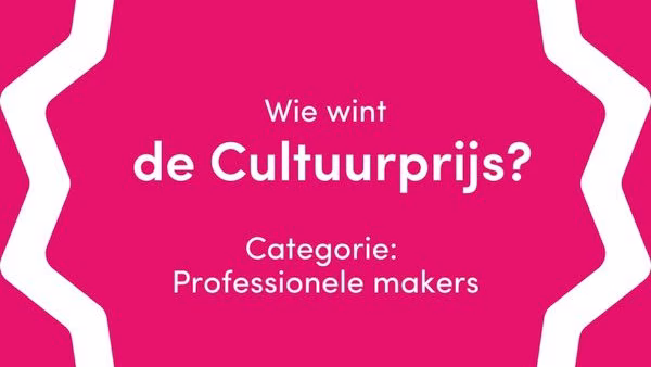 Digital Creativity nominated for Roosendaal culture award
